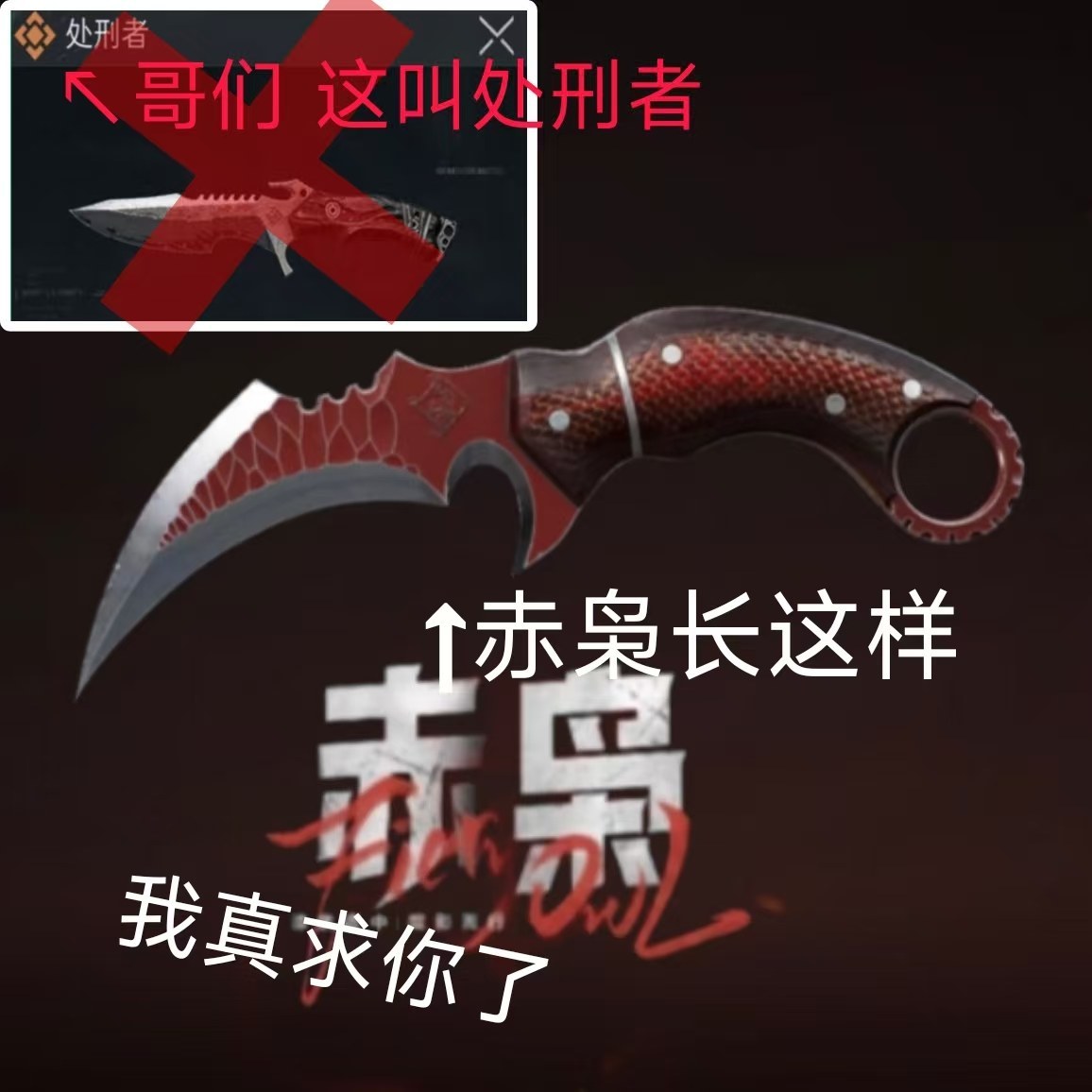 赤枭与处刑者对比示意图